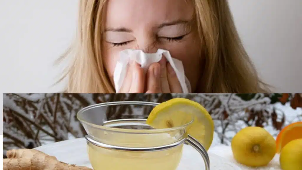 10 Poderosas Receitas de Chás para Aliviar os Sintomas da Gripe: Ingredientes Naturais para um Conforto Instantâneo