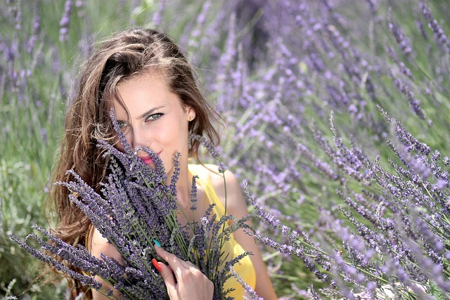 Como Cuidar de Lavanda?