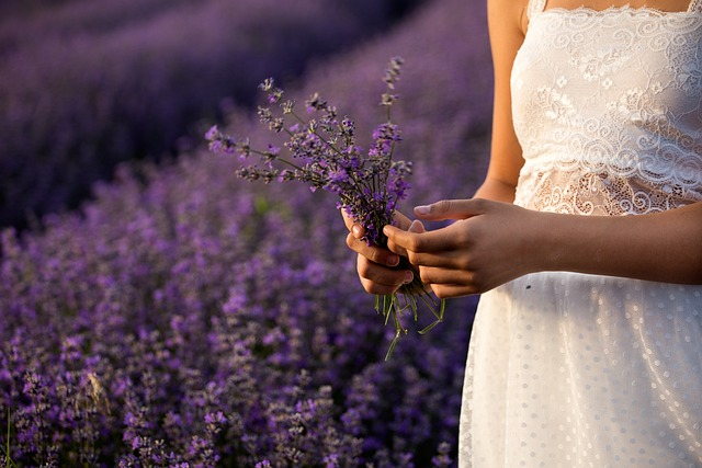 Como Cuidar de Lavanda?